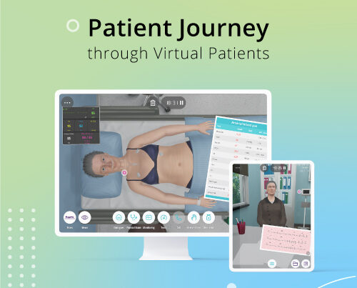 Body Interact webinar on the Patient Journey.